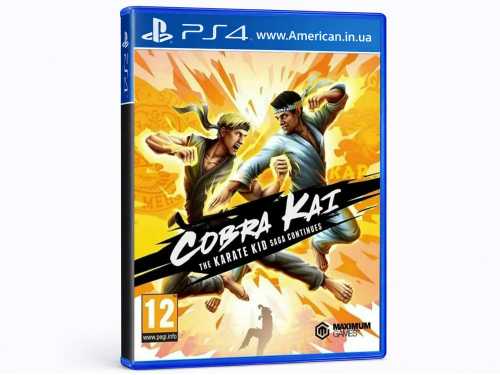 Cobra Kai The Karate Kid Saga Continues Sony PlayStation 4